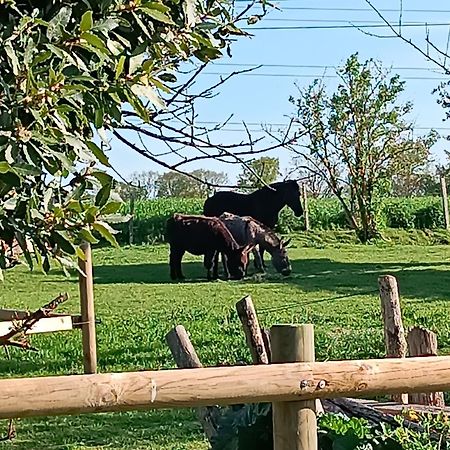 Domaine De Karoli Hotel Barneville-sur-Seine Eksteriør billede